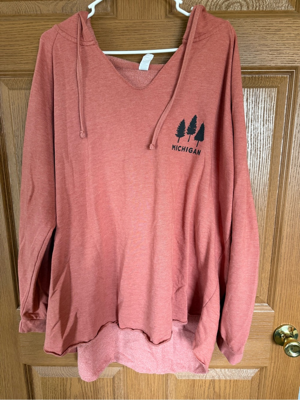 Michigan Graphic Hooded Pullover - pink